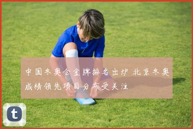 中国冬奥会金牌排名出炉 北京冬奥成绩领先项目分布受关注