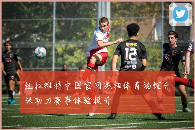 杜拉维特中国官网亮相体育场馆升级助力赛事体验提升