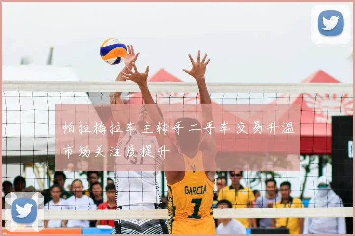帕拉梅拉车主转手二手车交易升温市场关注度提升
