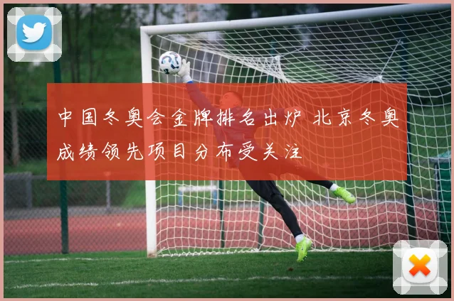 中国冬奥会金牌排名出炉 北京冬奥成绩领先项目分布受关注