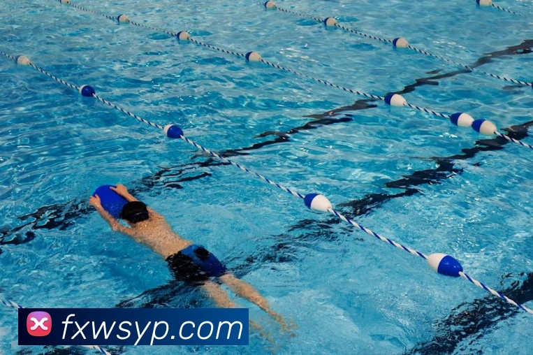 世界杯官网登录app发展历程